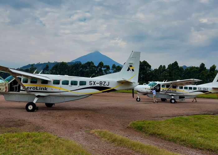 4-days-uganda-gorilla-fly-in-safari-to-bwindi