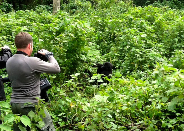 5-days-uganda-chimpanzee-and-gorilla-trekking-tour