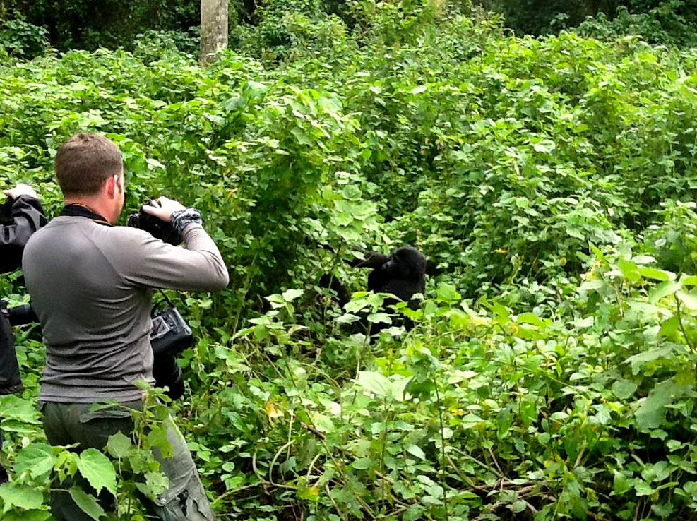 5-days-uganda-chimpanzee-and-gorilla-trekking-tour