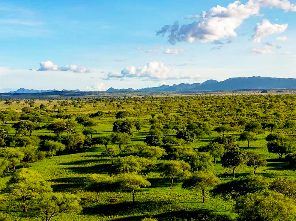 best-10-uganda-safari-holiday-destinations